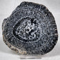 ORBICULAR GRANITE NODULE, Australia YOG006