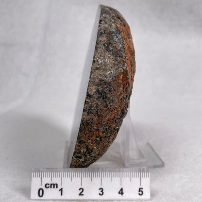 ORBICULAR GRANITE NODULE, Australia YOG006