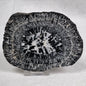 Orbicular Granite Nodule from Australia Polished YOG008
