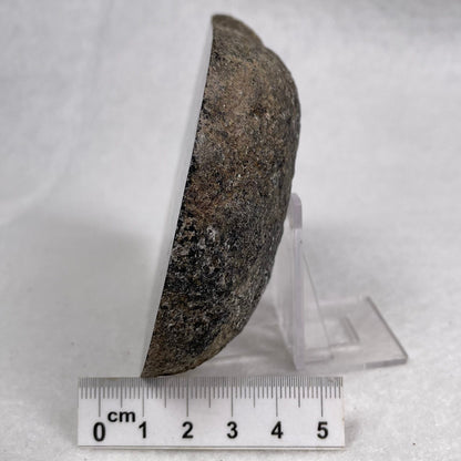 Orbicular Granite Nodule from Australia Polished YOG008