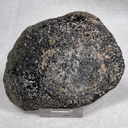 Orbicular Granite Nodule from Australia Polished YOG008