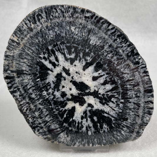 ORBICULAR GRANITE NODULE, Australia YOG009