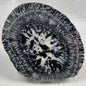 ORBICULAR GRANITE NODULE, Australia YOG009