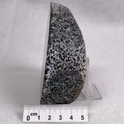 ORBICULAR GRANITE NODULE, Australia YOG009