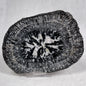 Orbicular Granite Nodule from Australia Polished YOG010