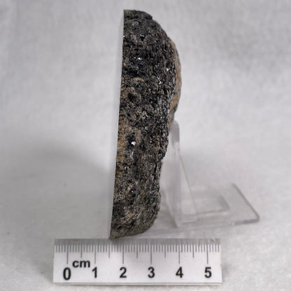 Orbicular Granite Nodule from Australia Polished YOG010