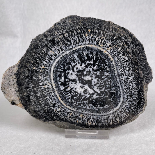 ORBICULAR GRANITE NODULE, Australia YOG011