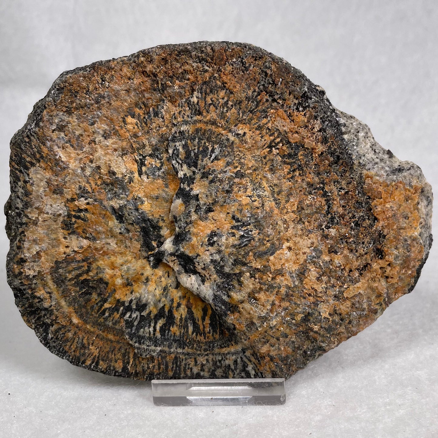 ORBICULAR GRANITE NODULE, Australia YOG011