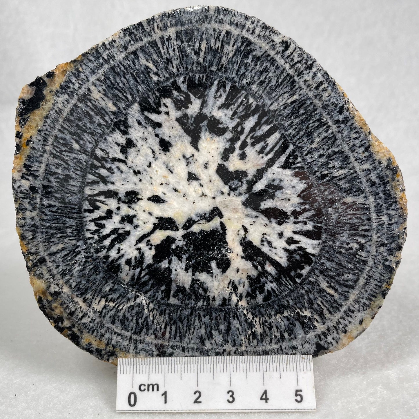 ORBICULAR GRANITE NODULE, Australia YOG012