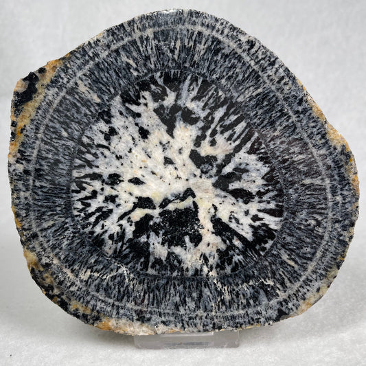 ORBICULAR GRANITE NODULE, Australia YOG012