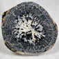 ORBICULAR GRANITE NODULE, Australia YOG012