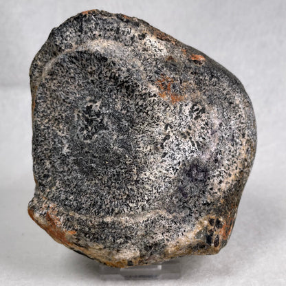 ORBICULAR GRANITE NODULE, Australia YOG012