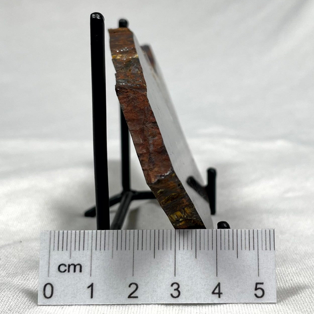 Banded Tiger Iron from Australia Polished ZBI001