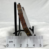 BANDED TIGER IRON MICROBIALITE, Archean, Australia ZBI001