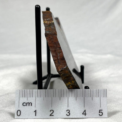 Banded Tiger Iron from Australia Polished ZBI001
