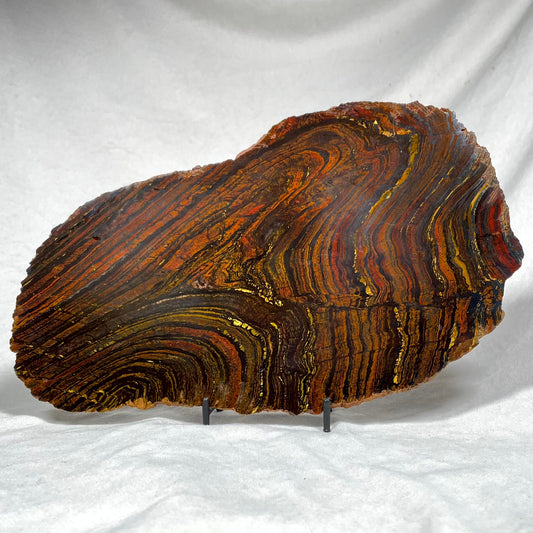 BANDED TIGER IRON MICROBIALITE, Archean, Australia ZBI003