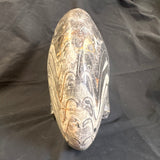 GONIATITE SP., Devonian, Morocco CWG007