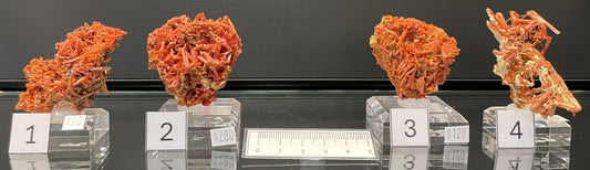 CROCOITE, Tasmania, Australia ICR021-24