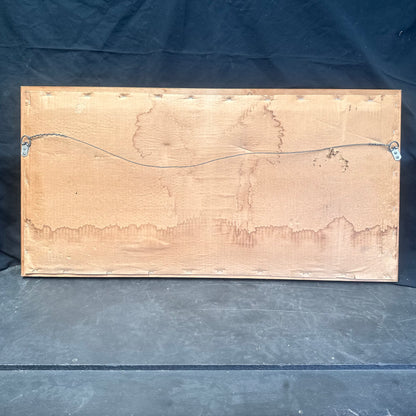 FISH FOSSIL DIPLOMYSTUS DENTATUS & COCKERELLITES LIOPS, Eocene, USA CWG010