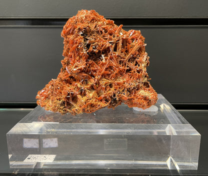 CROCOITE, Tasmania, Australia ICR046