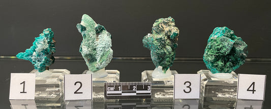 DIOPTASE, Democratic Republic of Congo ID012-15