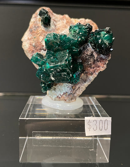 DIOPTASE, Democratic Republic of Congo ID016