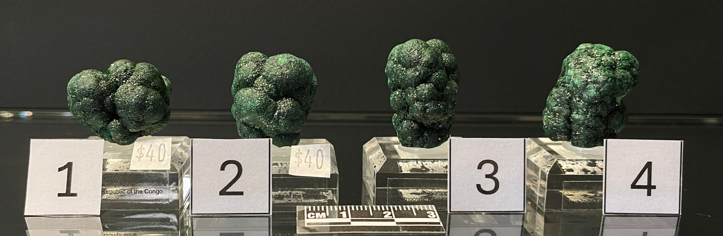 VELVET MALACHITE, Democratic Republic of the Congo IVM001-4