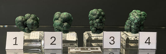 VELVET MALACHITE, Democratic Republic of the Congo IVM001-4