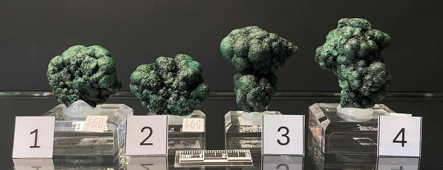 VELVET MALACHITE, Democratic Republic of the Congo IVM009-12