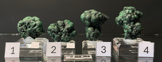 VELVET MALACHITE, Democratic Republic of the Congo IVM009-12