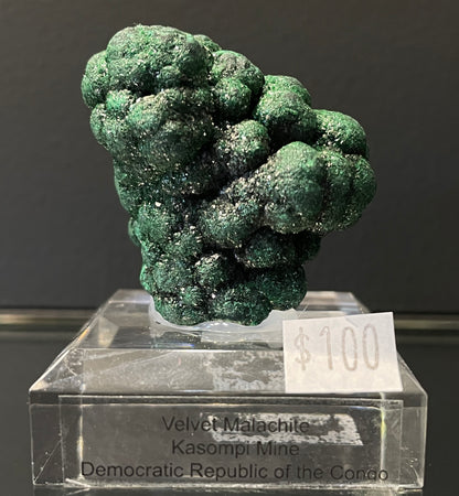 VELVET MALACHITE, Democratic Republic of the Congo IVM013