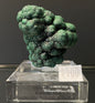 VELVET MALACHITE, Democratic Republic of the Congo IVM013
