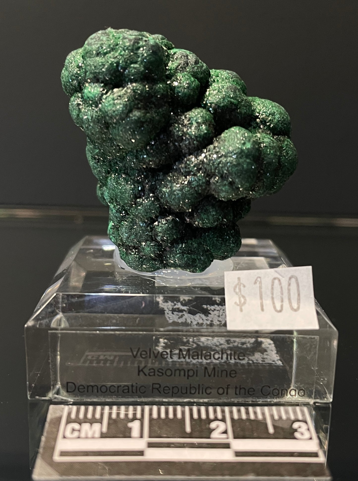 VELVET MALACHITE, Democratic Republic of the Congo IVM013