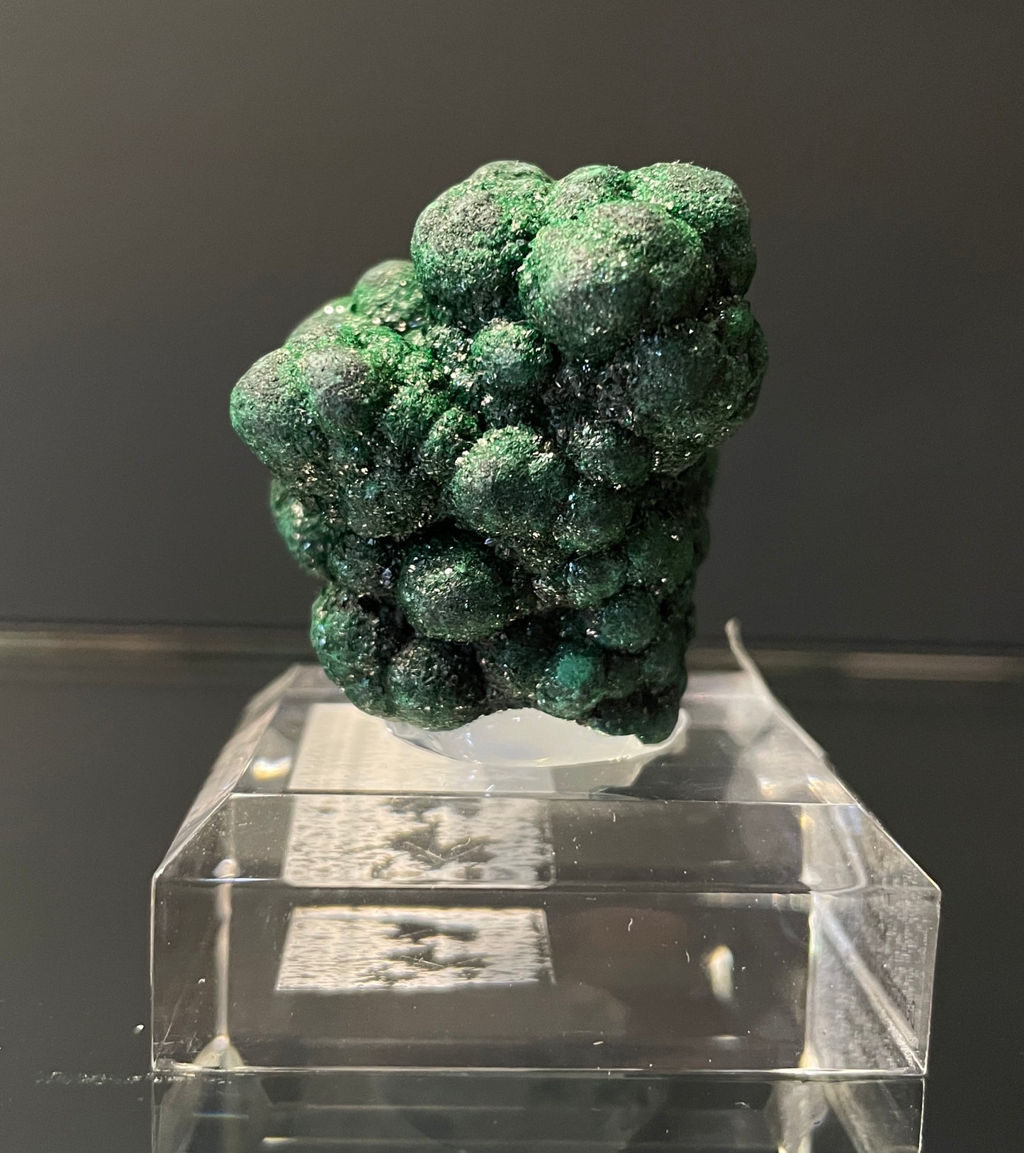 VELVET MALACHITE, Democratic Republic of the Congo IVM013