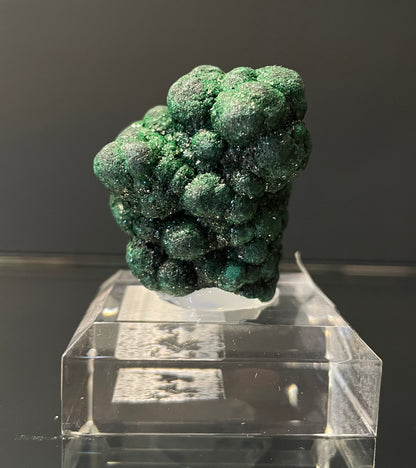 VELVET MALACHITE, Democratic Republic of the Congo IVM013