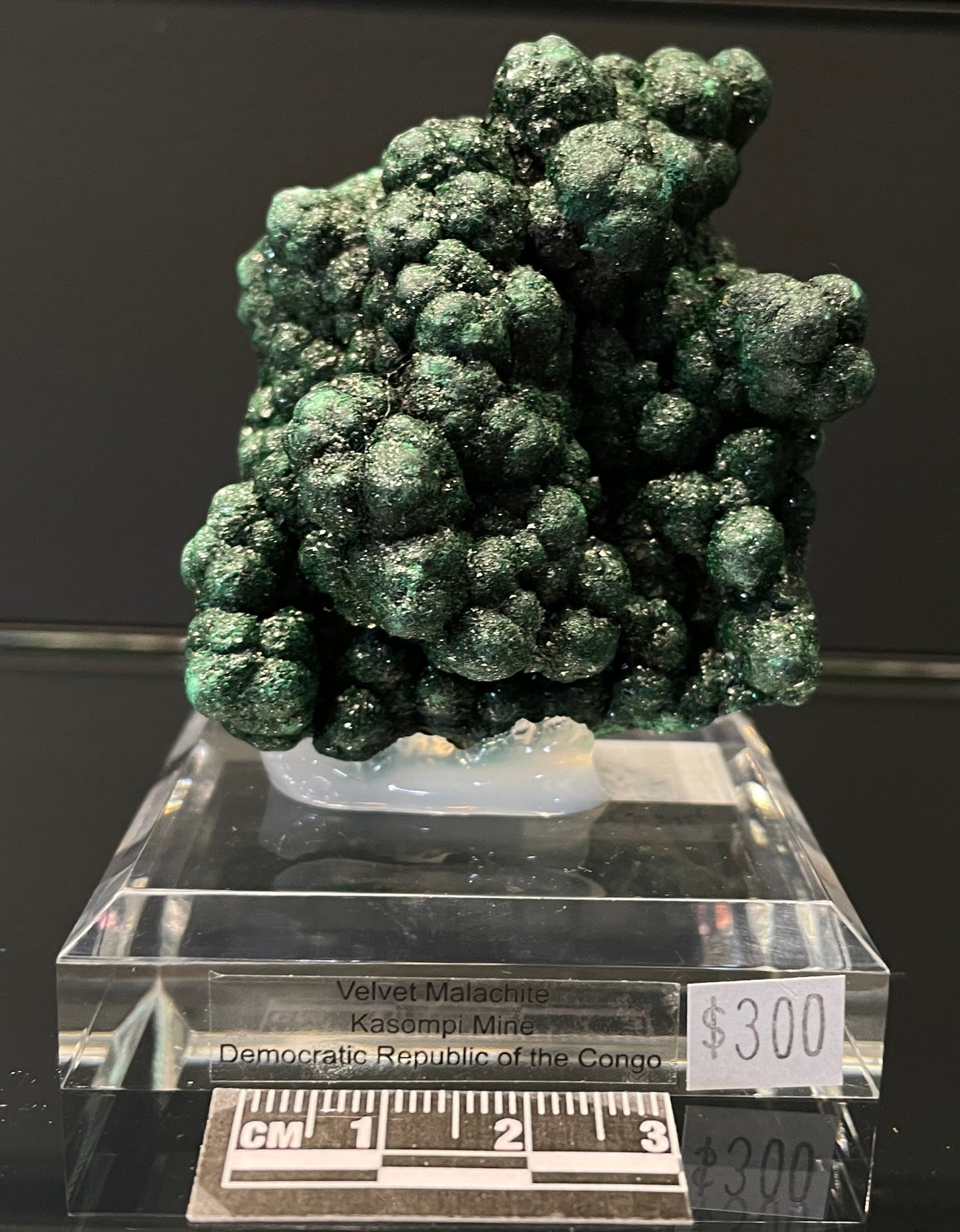 VELVET MALACHITE, Democratic Republic of the Congo IVM014