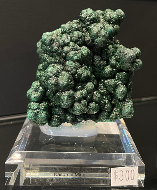 VELVET MALACHITE, Democratic Republic of the Congo IVM014