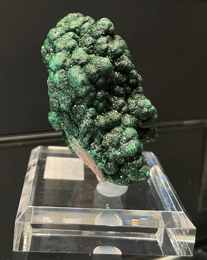 VELVET MALACHITE, Democratic Republic of the Congo IVM014