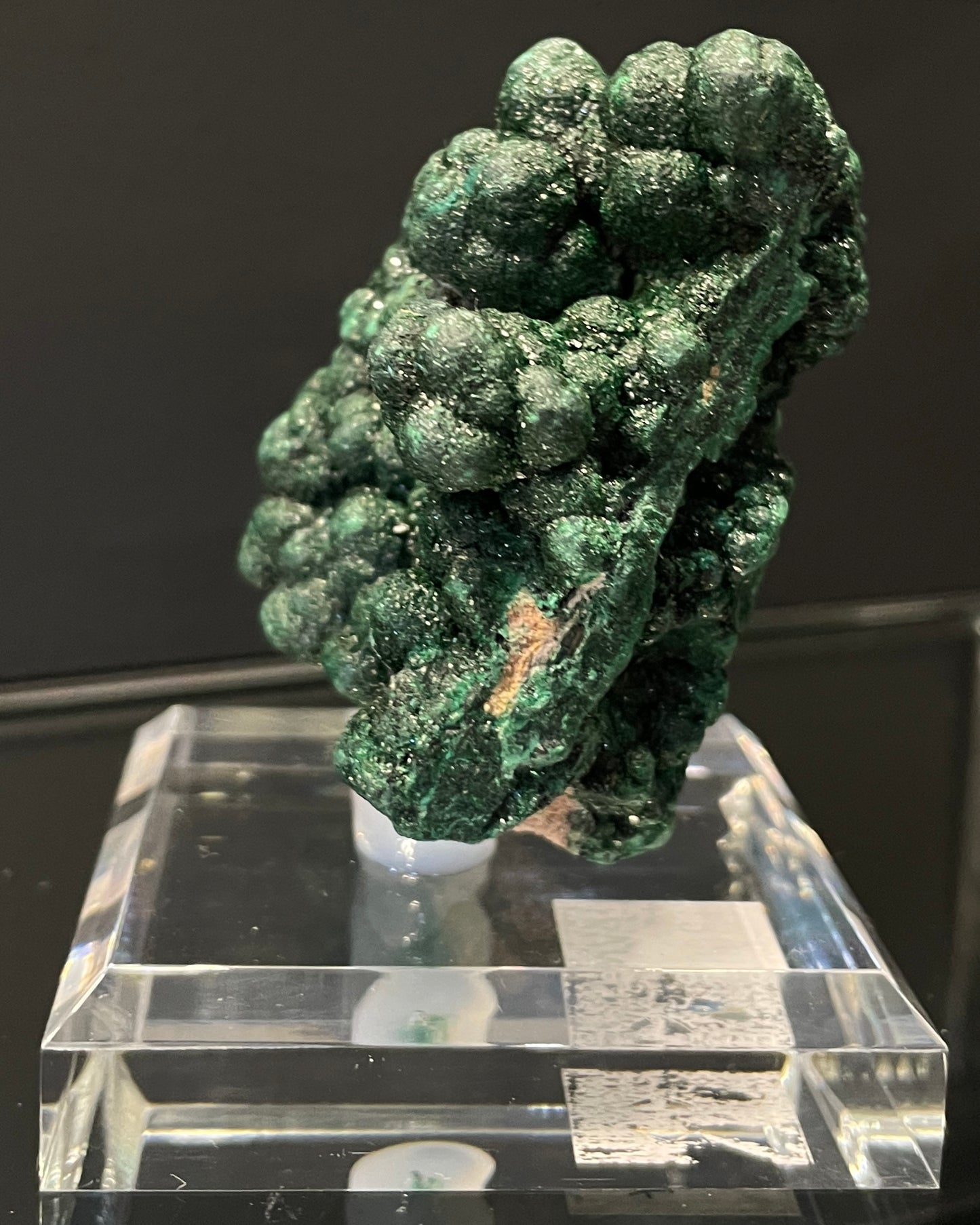 VELVET MALACHITE, Democratic Republic of the Congo IVM014