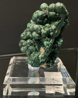 BOTRYOIDAL VELVET MALACHITE, Democratic Republic of the Congo IVM014