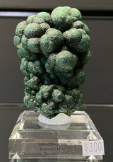 BOTRYOIDAL VELVET MALACHITE, Democratic Republic of the Congo IVM015
