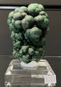 VELVET MALACHITE, Democratic Republic of the Congo IVM015