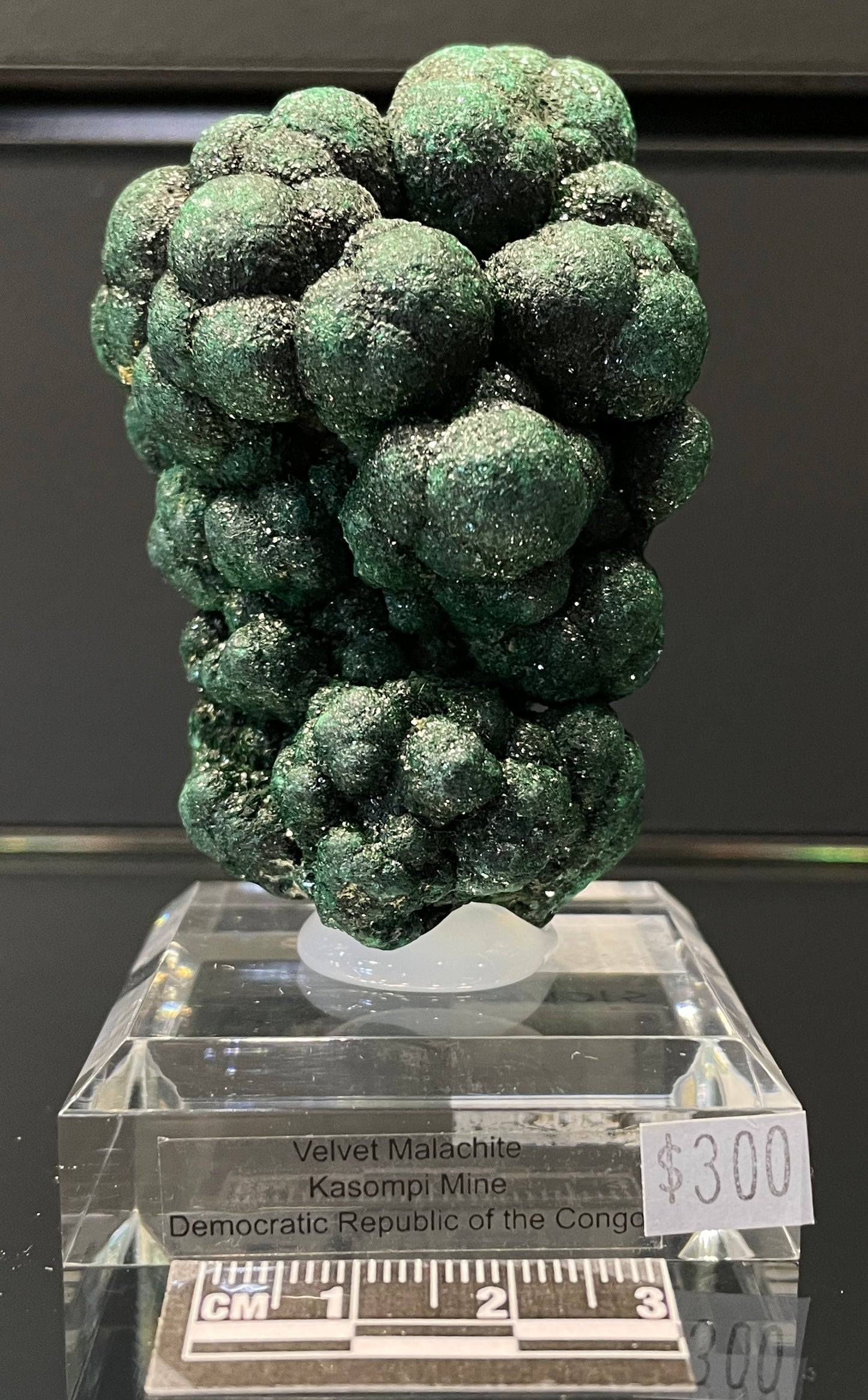 VELVET MALACHITE, Democratic Republic of the Congo IVM015