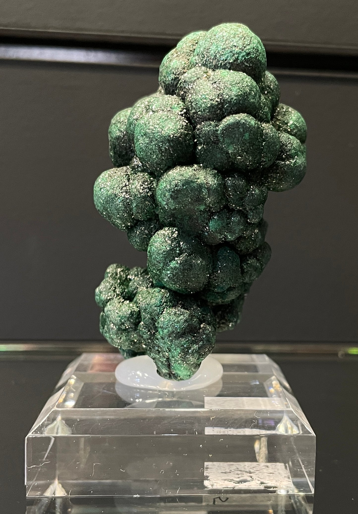 VELVET MALACHITE, Democratic Republic of the Congo IVM015