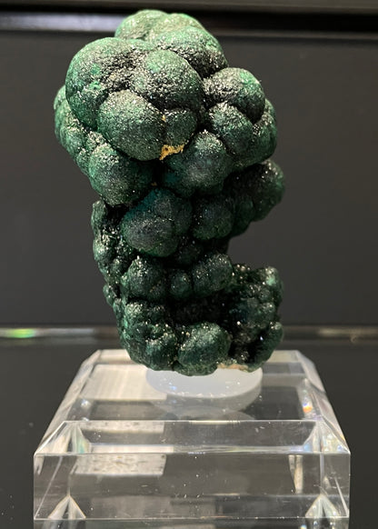 VELVET MALACHITE, Democratic Republic of the Congo IVM015