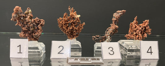 NATIVE COPPER, Australia INC001-004