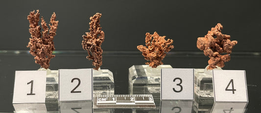 NATIVE COPPER, Australia INC009-012