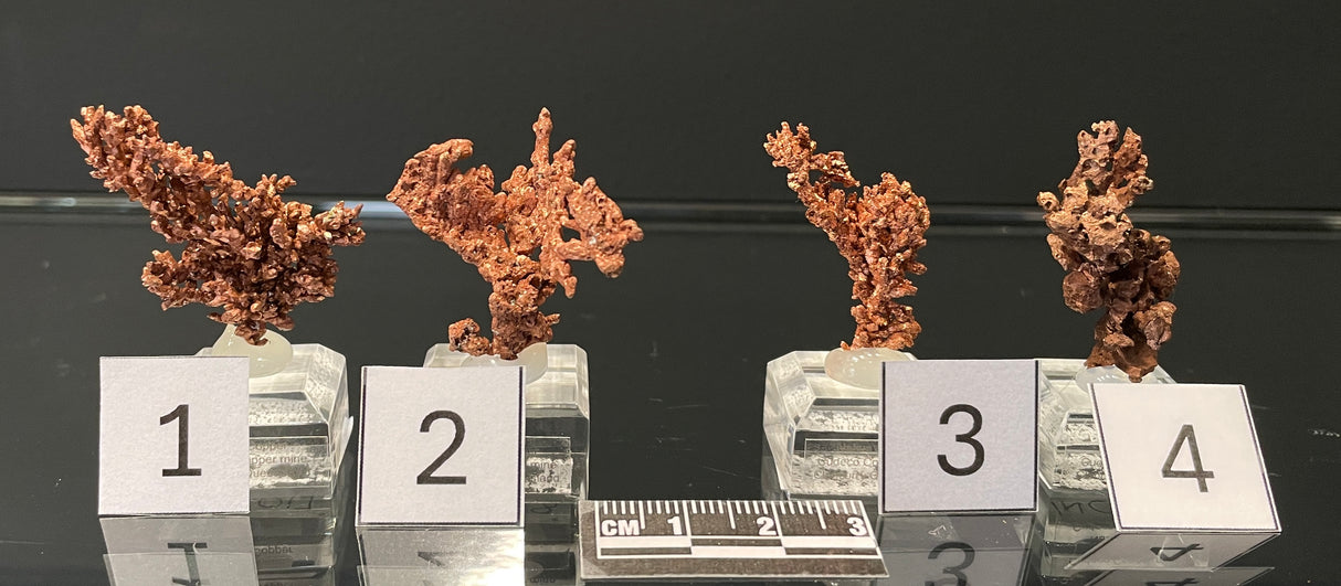 NATIVE COPPER, Australia INC017-020