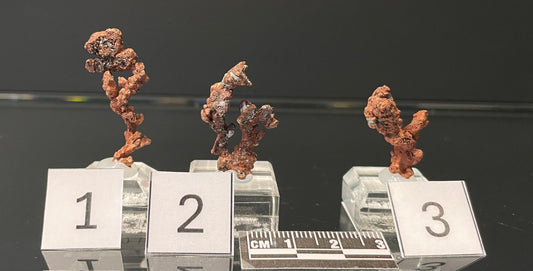 NATIVE COPPER, Australia INC021-023