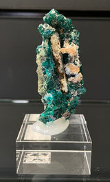 DIOPTASE, Democratic Republic of Congo ID017